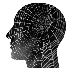 brain health supplement