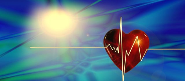 Discover Top Heart Healthy Foods and Learn More about Heart Health